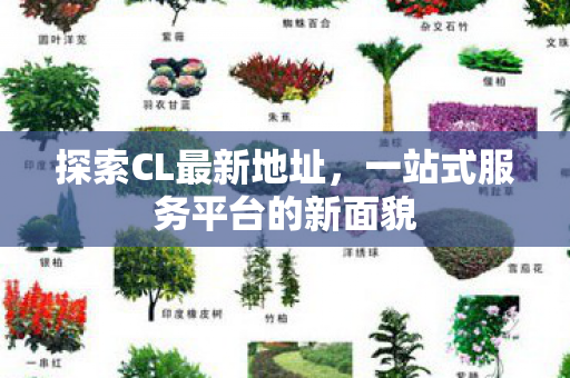 探索CL最新地址,一站式服务平台的新面貌 探索CL最新地址,一站式服务平台的新面貌