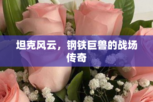 坦克风云,钢铁巨兽的战场传奇 坦克风云,钢铁巨兽的战场传奇
