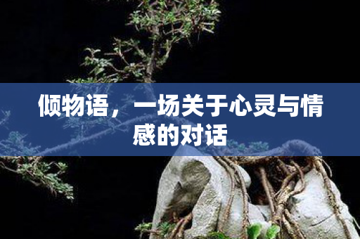 倾物语,一场关于心灵与情感的对话 倾物语,一场关于心灵与情感的对话