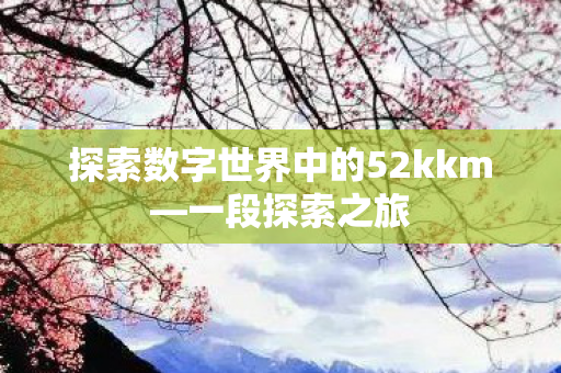 探索数字世界中的52kkm—一段探索之旅 探索数字世界中的52kkm—一段探索之旅