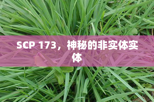 SCP 173,神秘的非实体实体 SCP 173,神秘的非实体实体