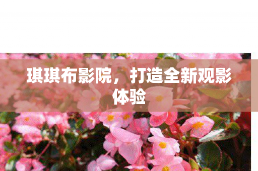 琪琪布影院,打造全新观影体验 琪琪布影院,打造全新观影体验
