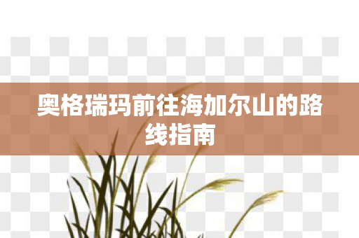 奥格瑞玛前往海加尔山的路线指南