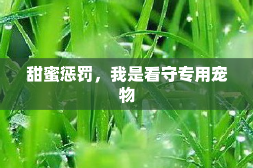 甜蜜惩罚,我是看守专用宠物 甜蜜惩罚,我是看守专用宠物