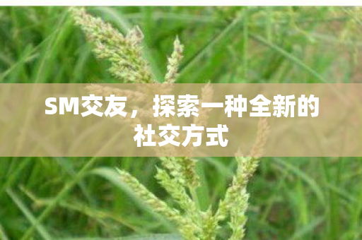 SM交友，探索一种全新的社交方式