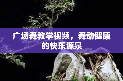 广场舞教学视频,舞动健康的快乐源泉 广场舞教学视频,舞动健康的快乐源泉
