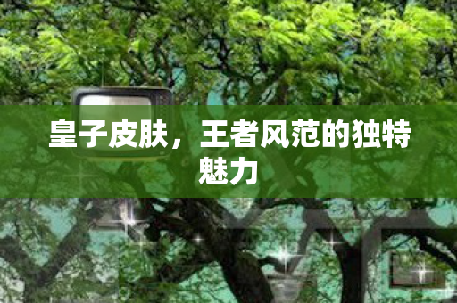 皇子皮肤,王者风范的独特魅力 皇子皮肤,王者风范的独特魅力