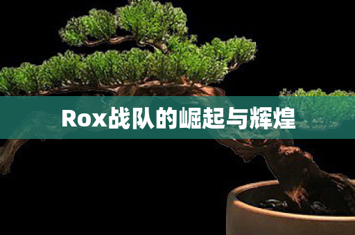 Rox战队的崛起与辉煌 Rox战队的崛起与辉煌