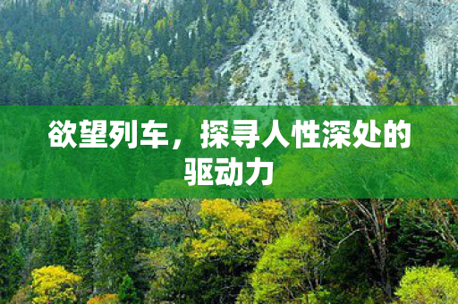 欲望列车,探寻人性深处的驱动力 欲望列车,探寻人性深处的驱动力