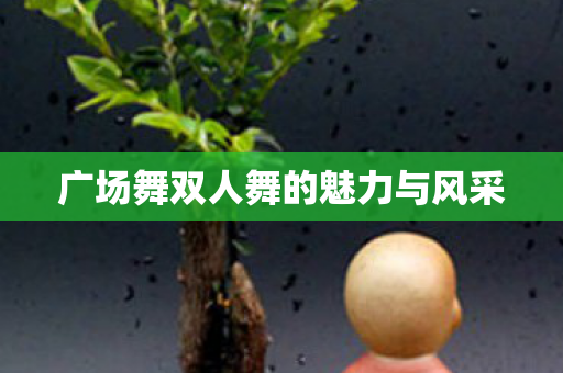 广场舞双人舞的魅力与风采 广场舞双人舞的魅力与风采