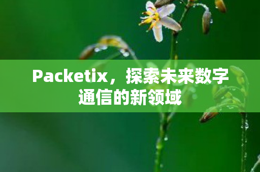 Packetix,探索未来数字通信的新领域 Packetix,探索未来数字通信的新领域