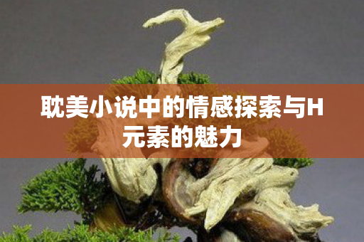 耽美小说中的情感探索与H元素的魅力 耽美小说中的情感探索与H元素的魅力