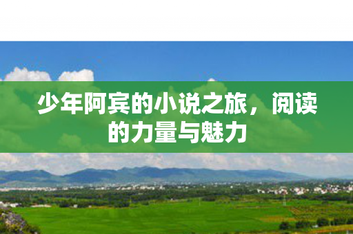 少年阿宾的小说之旅,阅读的力量与魅力 少年阿宾的小说之旅,阅读的力量与魅力