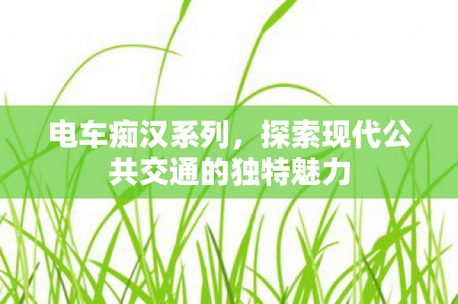 电车痴汉系列,探索现代公共交通的独特魅力 电车痴汉系列,探索现代公共交通的独特魅力