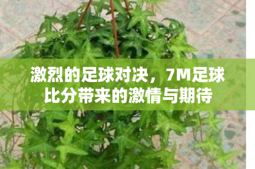 激烈的足球对决,7M足球比分带来的激情与期待 激烈的足球对决,7M足球比分带来的激情与期待