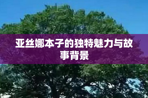 亚丝娜本子的独特魅力与故事背景