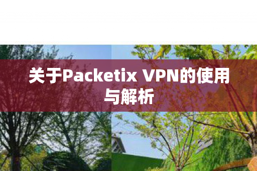 关于Packetix VPN的使用与解析 关于Packetix VPN的使用与解析