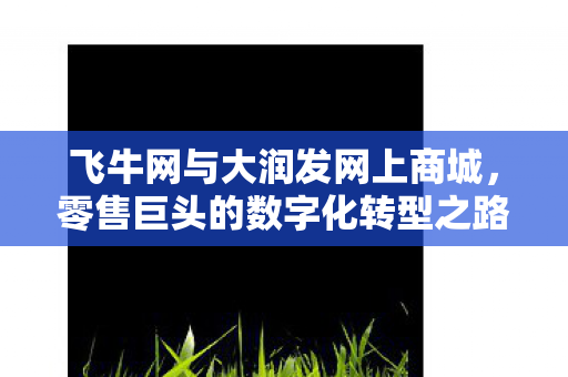 飞牛网与大润发网上商城,零售巨头的数字化转型之路 飞牛网与大润发网上商城,零售巨头的数字化转型之路