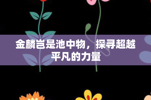 金麟岂是池中物,探寻超越平凡的力量 金麟岂是池中物,探寻超越平凡的力量