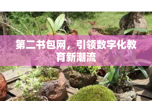 第二书包网,引领数字化教育新潮流 第二书包网,引领数字化教育新潮流