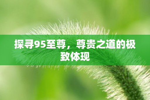 探寻95至尊,尊贵之道的极致体现 探寻95至尊,尊贵之道的极致体现