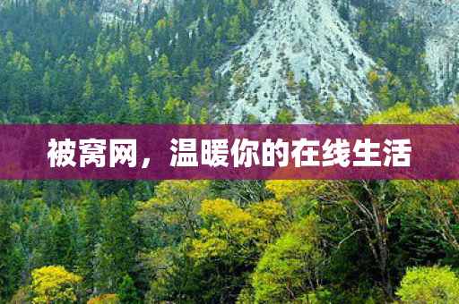 被窝网,温暖你的在线生活 被窝网,温暖你的在线生活