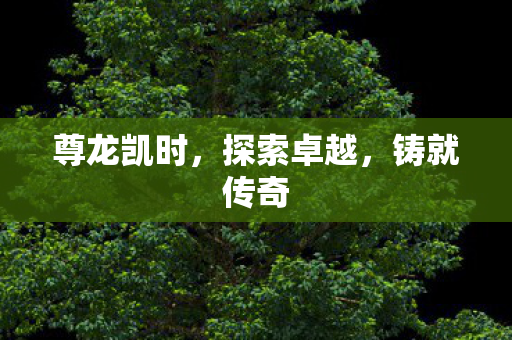 尊龙凯时,探索卓越,铸就传奇 尊龙凯时,探索卓越,铸就传奇
