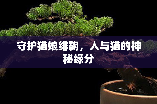 守护猫娘绯鞠,人与猫的神秘缘分 守护猫娘绯鞠,人与猫的神秘缘分