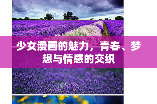 少女漫画的魅力,青春、梦想与情感的交织 少女漫画的魅力,青春、梦想与情感的交织