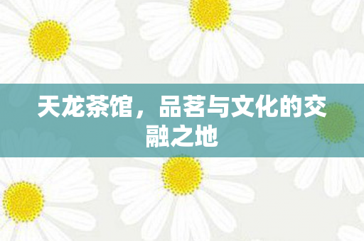 天龙茶馆，品茗与文化的交融之地