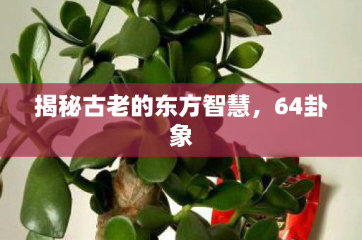 揭秘古老的东方智慧,64卦象 揭秘古老的东方智慧,64卦象