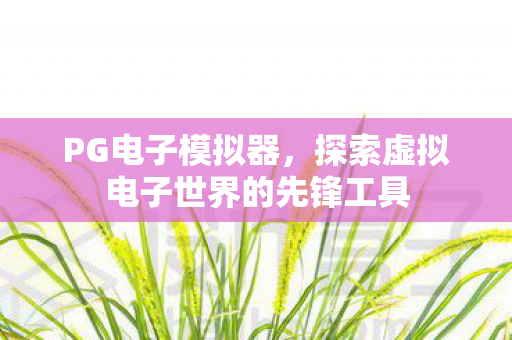 PG电子模拟器,探索虚拟电子世界的先锋工具 PG电子模拟器,探索虚拟电子世界的先锋工具