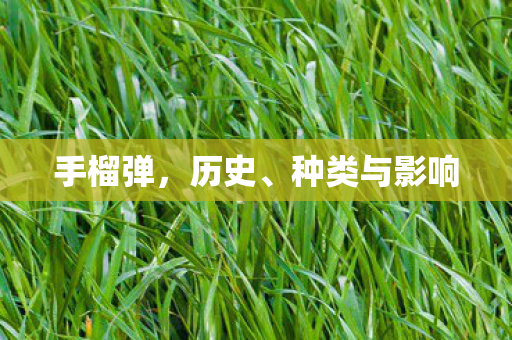 手榴弹,历史、种类与影响 手榴弹,历史、种类与影响