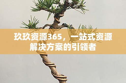玖玖资源365,一站式资源解决方案的引领者 玖玖资源365,一站式资源解决方案的引领者