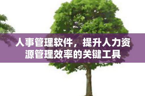 人事管理软件,提升人力资源管理效率的关键工具 人事管理软件,提升人力资源管理效率的关键工具