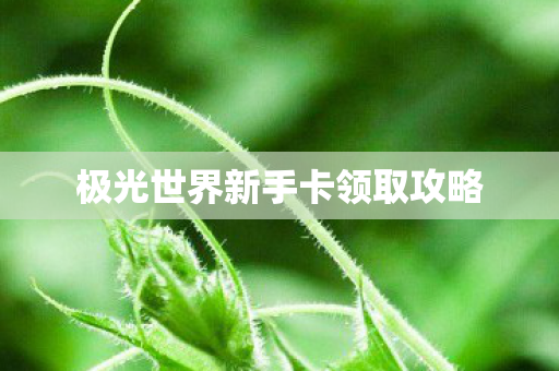 极光世界新手卡领取攻略 极光世界新手卡领取攻略