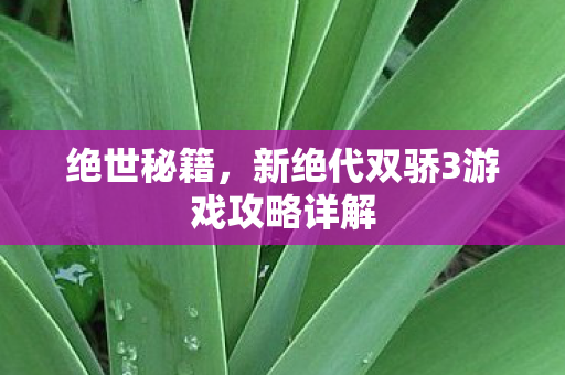 绝世秘籍，新绝代双骄3游戏攻略详解