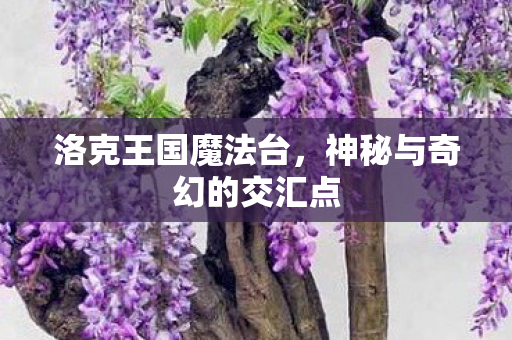 洛克王国魔法台,神秘与奇幻的交汇点 洛克王国魔法台,神秘与奇幻的交汇点