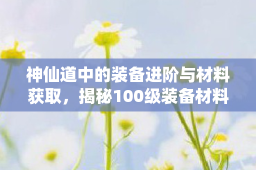 神仙道中的装备进阶与材料获取，揭秘100级装备材料的奥秘