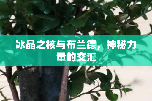 冰晶之核与布兰德,神秘力量的交汇 冰晶之核与布兰德,神秘力量的交汇