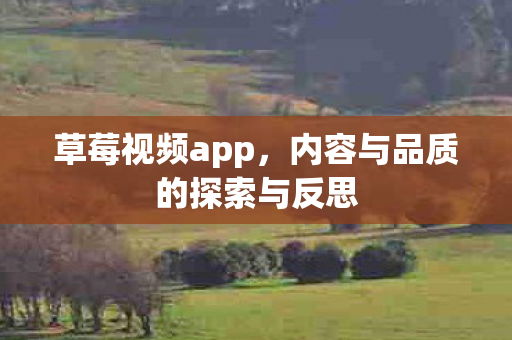 草莓视频app,内容与品质的探索与反思 草莓视频app,内容与品质的探索与反思