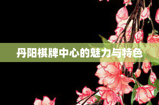 丹阳棋牌中心的魅力与特色