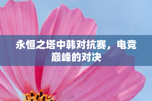 永恒之塔中韩对抗赛，电竞巅峰的对决