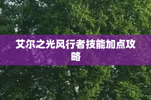 艾尔之光风行者技能加点攻略 艾尔之光风行者技能加点攻略