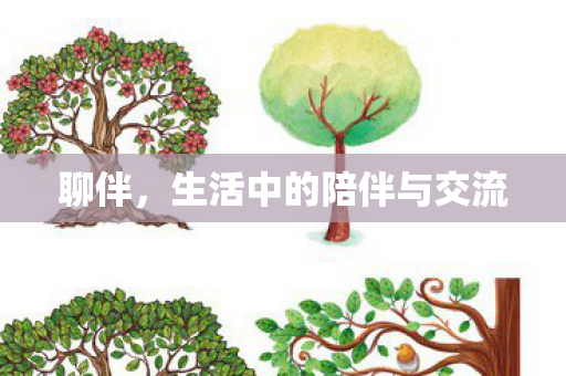 聊伴，生活中的陪伴与交流
