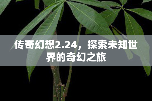 传奇幻想2.24,探索未知世界的奇幻之旅 传奇幻想2.24,探索未知世界的奇幻之旅