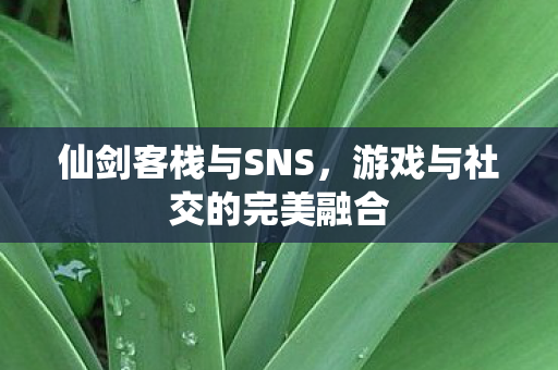仙剑客栈与SNS,游戏与社交的完美融合 仙剑客栈与SNS,游戏与社交的完美融合