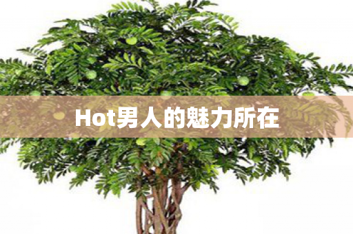 Hot男人的魅力所在 Hot男人的魅力所在