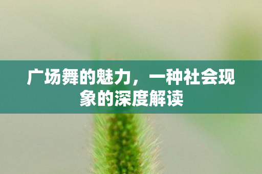 广场舞的魅力,一种社会现象的深度解读 广场舞的魅力,一种社会现象的深度解读