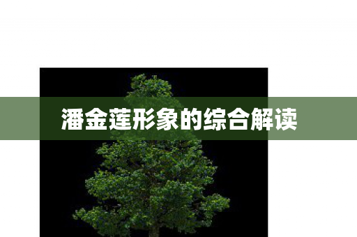 潘金莲形象的综合解读 潘金莲形象的综合解读